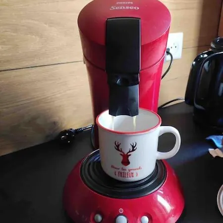 Hébergement de vacances Belle Maison Traditionnelle - Les Chavonnes