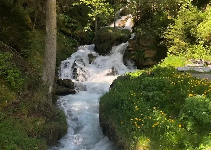 Belle Maison Traditionnelle - Les Chavonnes *